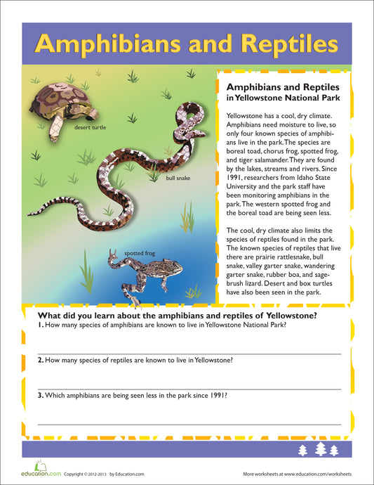 Amphibians and Reptiles